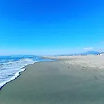 Garibaldino *