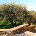 Garibaldino Podenzana