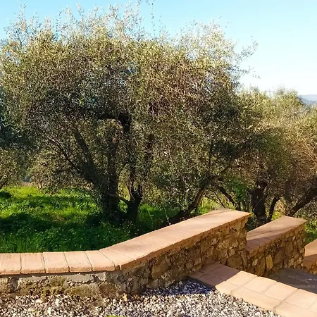 Garibaldino Podenzana